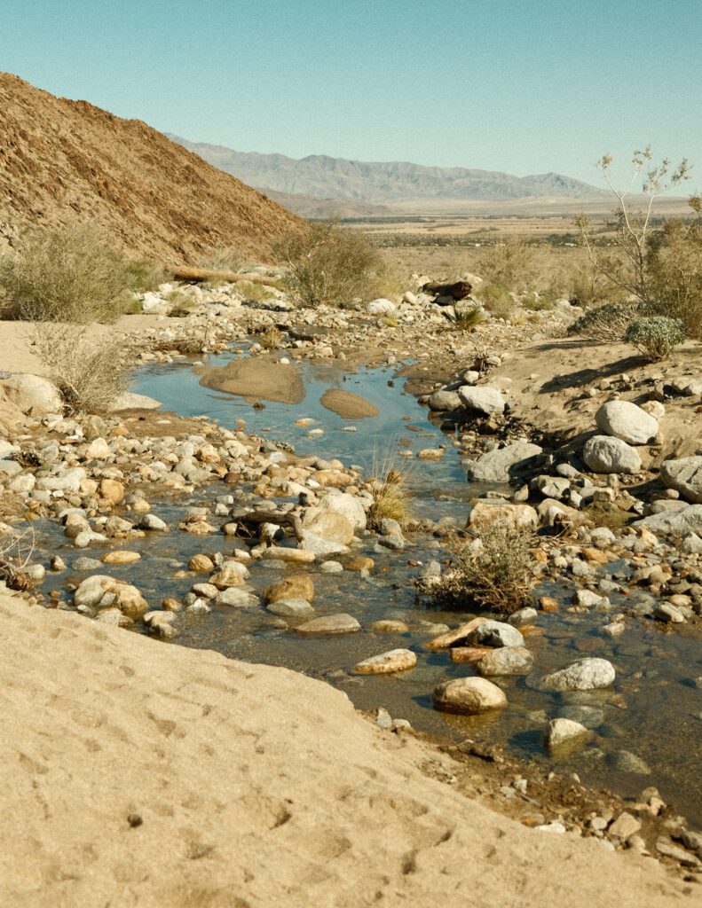 Anza Borrego Mojave Desert Elopement backdrop