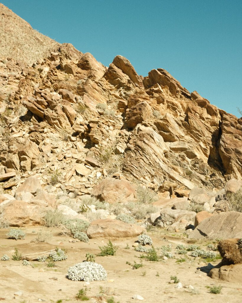 Anza Borrego Mojave Desert Elopement backdrop