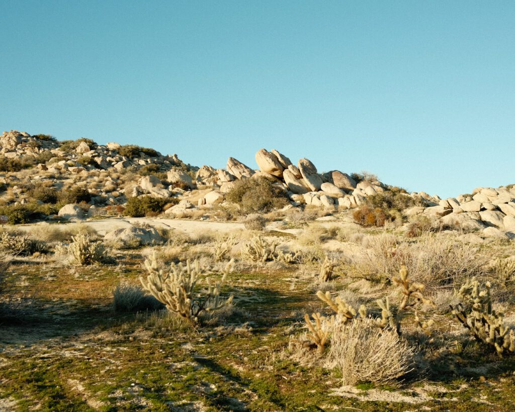 Anza Borrego Mojave Desert Elopement backdrop